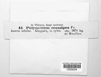 Image Associated With the Occurence